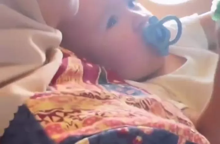 Cipung menjadi fokus netizen karena menggemaskan