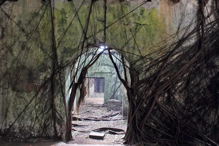 Rumah Akar, di Kota Tua, Jakarta Pusat