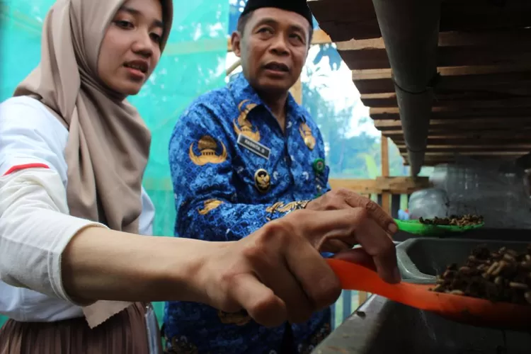 Proyek budidaya maggot yang didukung oleh SCG