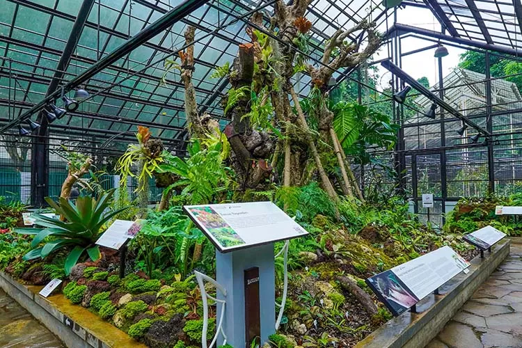 5 Rekomendasi Tempat Wisata Alam Instagramable di Bogor, Cocok untuk Berlibur Akhir Pekan