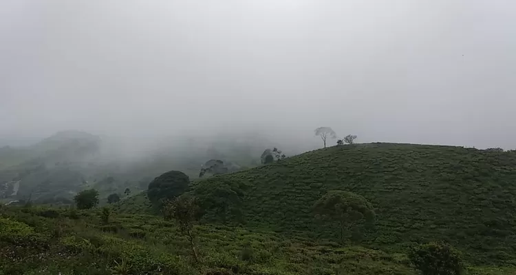 Taman Langit berada di Desa Sukaluyu, Kecamatan Pangalengan, Kabupaten Bandung, Jawa Barat.