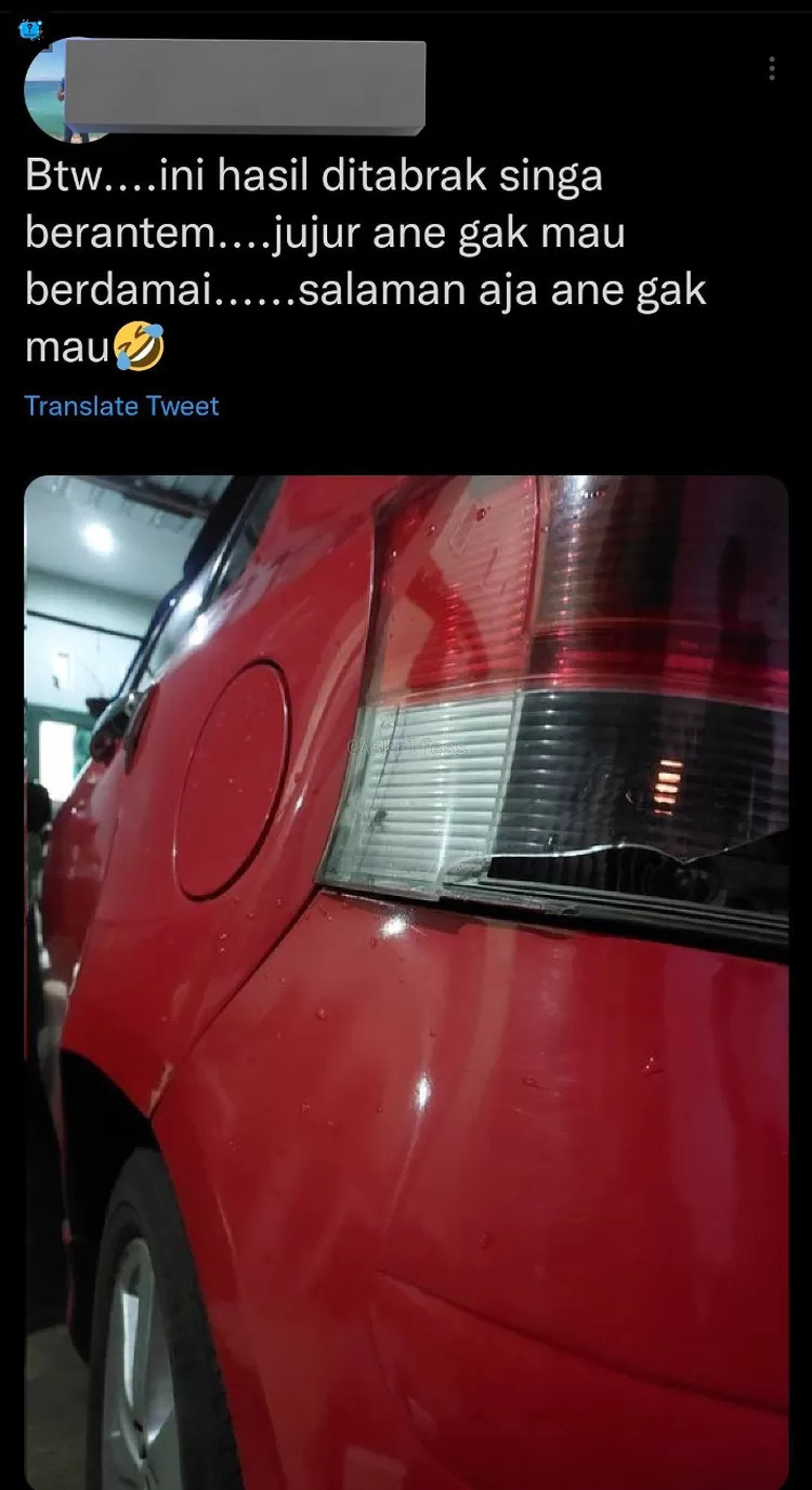 Kondisi mobil yang ditubruk singa