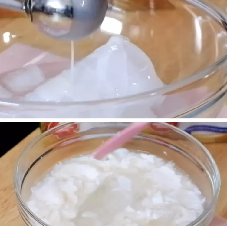 Cara membuat Es Kopyor Agar