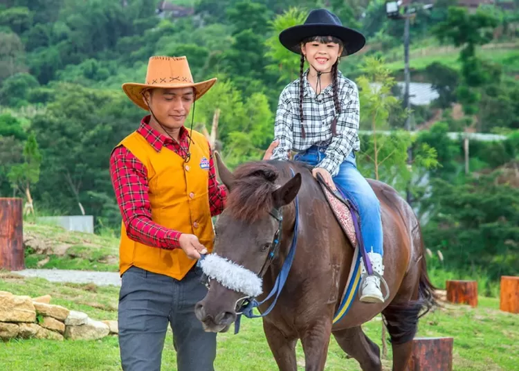 Cepogo Cheesepark Boyolali