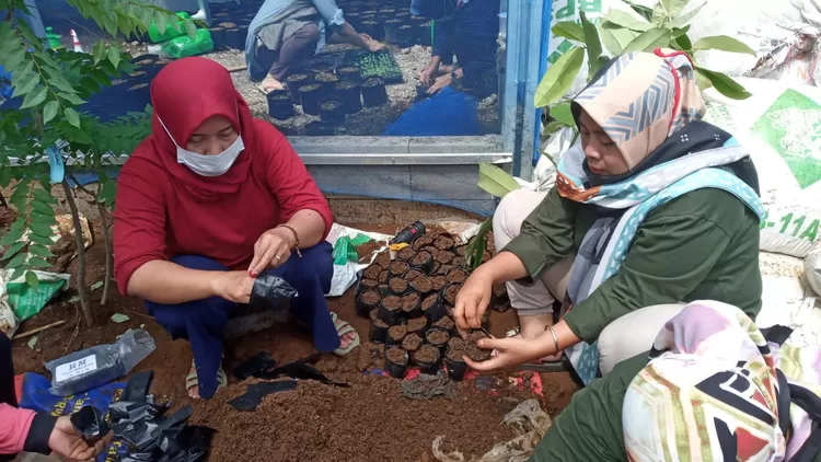 Praktek dan penyuluhan di Kelurahan Bojongkerta, Kecamatan Bogor Selatan.