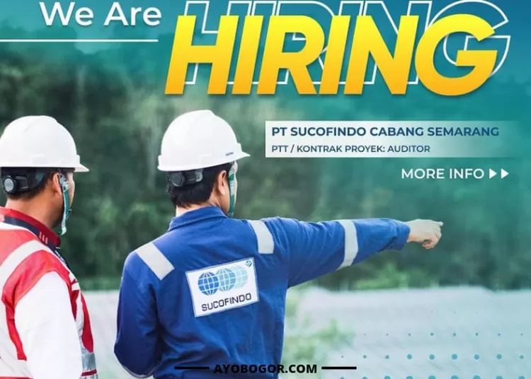 Info Lowongan Kerja BUMN PT Sucofindo Bagi Lulusan D3 hingga S1, Cek Kualifikasi
