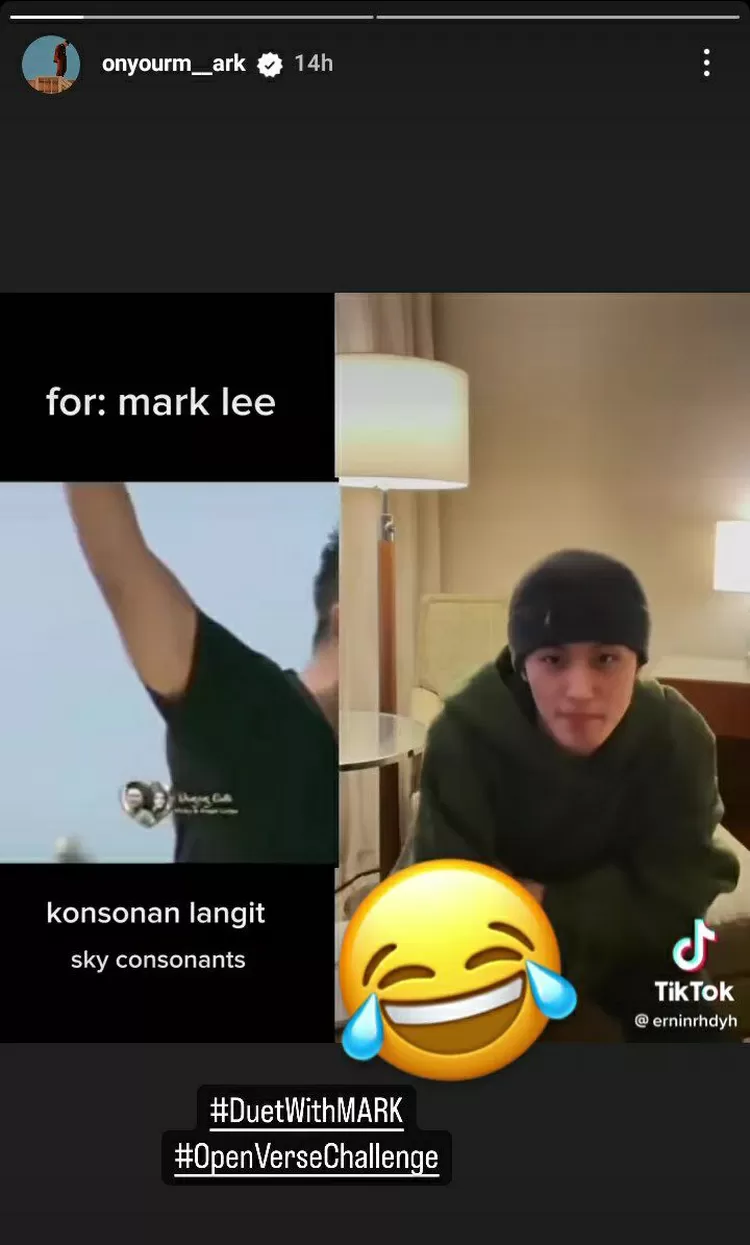 Konsonan langit Vicky Prasetyo dinotis Mark NCT 