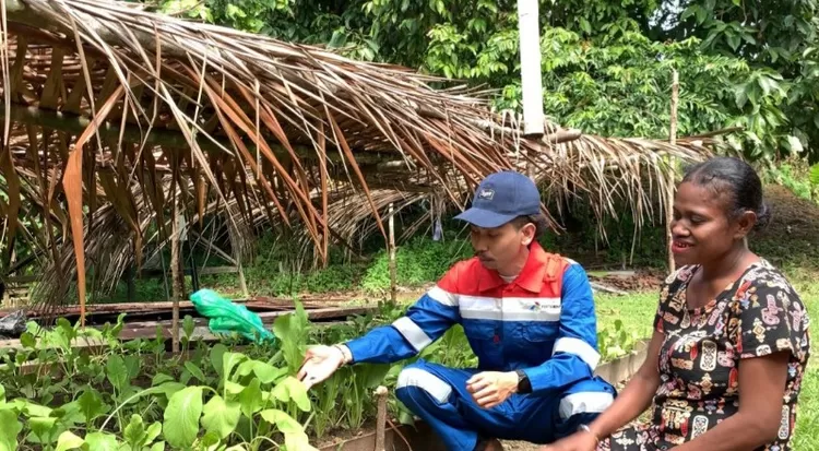 PT Kilang Pertamina Internasional Unit Kasim gelar kegiatan bersama masyarakat Kampung Klayas memanen hasil pertanian