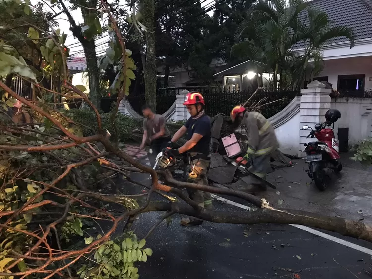 Sebuah pohon tumbang di Jalan Westhoff No 1, Kelurahan Pasir Kaliki, Kecamatan Cicendo, usai hujan deras guyur Kota Bandung