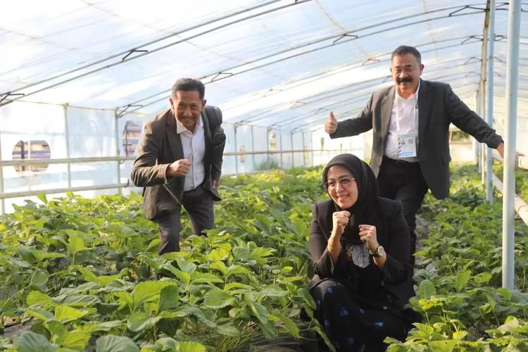 HPSMI menjalin kerja sama dengan Scientific Research Institute of Vegetable, Melon, Crops, and Potato Ministry of Agriculture Republic of Uzbekistan dalam pengembangan Mutual Scientific and Technical di bidang pertanian.