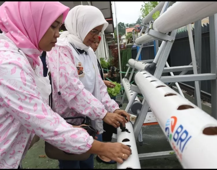 Program BRInita dilaksanakan bertahap di 18 Regional Office (RO) BRI di Indonesia. Termasuk  Kota Jayapura dan melibatkan Ikatan Wanita BRI (IWABRI) selaku pembina.