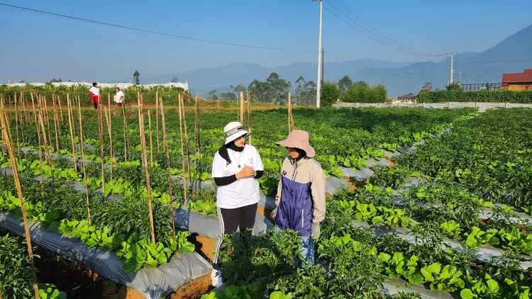 HPSMI melakukan kunjungan ke daerah pertanian di Jawa Barat.