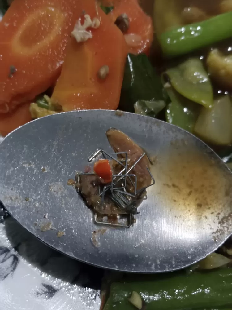 Isi staples di masakan capcay yang dibeli dari PKL diwilayah Weleri. 