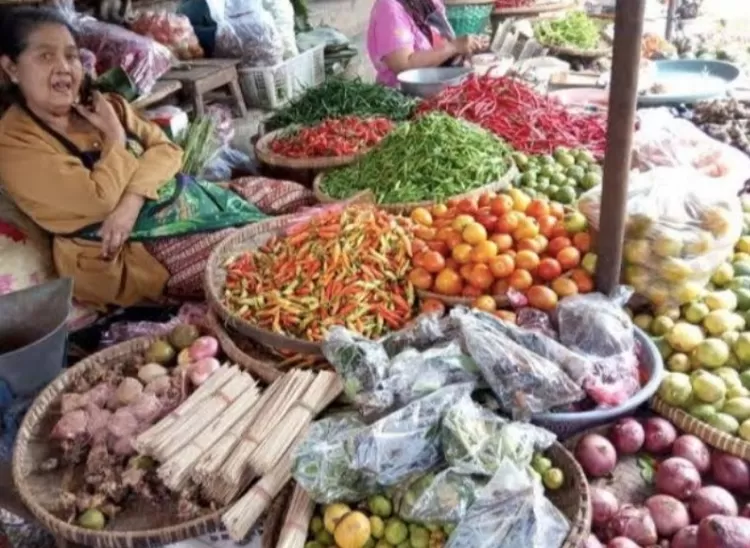 Sayuran tomat dan rica  milik petani itu diborong oleh pedagang dua pasar tradisonal terbesar di Sorong. Yaitu Pasar Central Remu dan Pasar Boswezen Rufei.