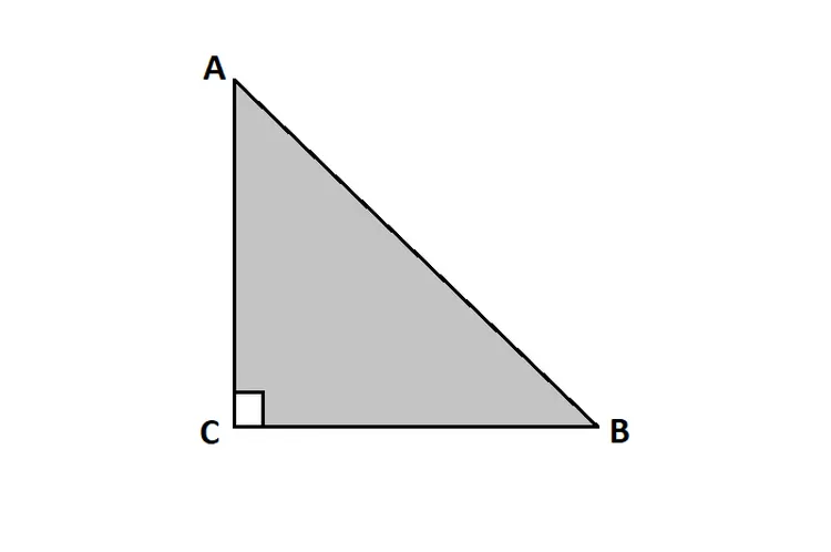 ilustrasi segitiga siku-siku ABC (/M. Rizqi A.)