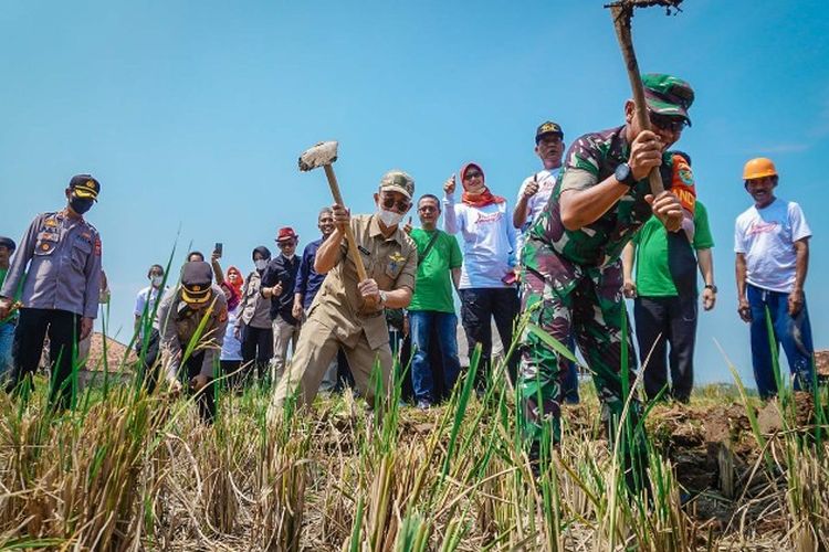 Meriahkan HUT RI ke 77, Jabong Festival Hidroponik dan Holtikultura Digelar