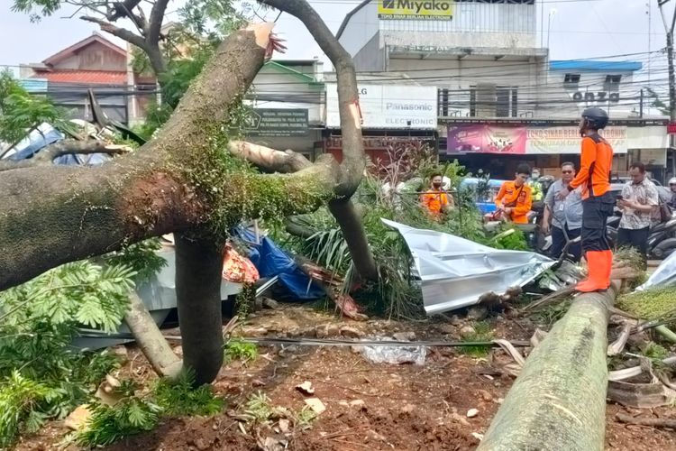 Cegah Bencana Akibat Pohon Tumbang, BPBD Bogor Bakal Siaga Sampai Malam