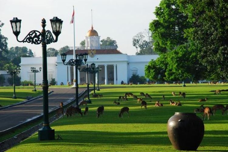 Berapa Harga Tiket Masuk Kebun Raya Bogor? Cek di Sini Fasilitas Apa Saja yang Ada di Sana