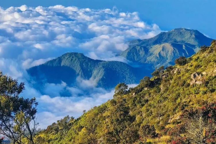 5 Fakta Menarik Gunung Lawu Yang Perlu Pendaki Ketahui. Siap Malam ...