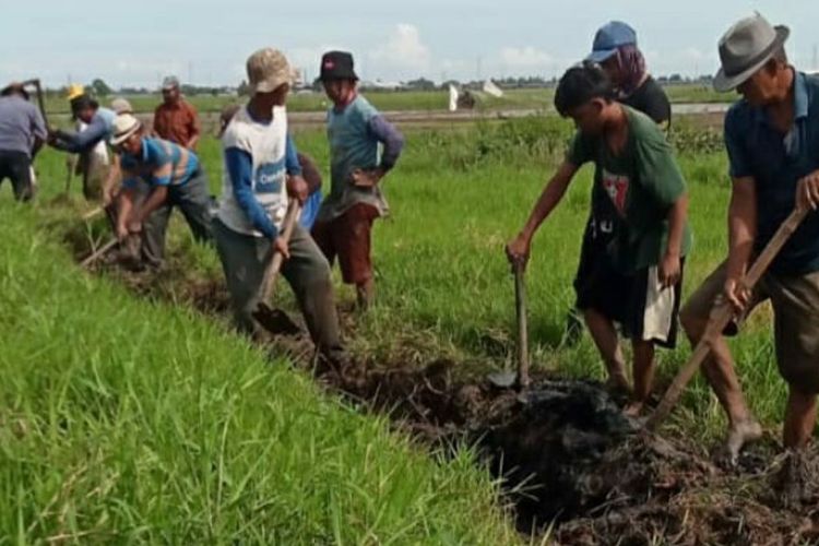 Antisipasi Banjir, Petani Desa Kedung Pengawas Gotong Royong Bebersih Saluran Irigasi