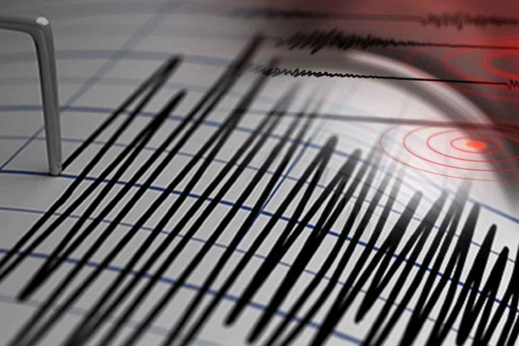 Begini Kondisi Kota Bogor dan Sukabumi Usai Gempa 4,3 M Guncang Cianjur Dini Hari Tadi