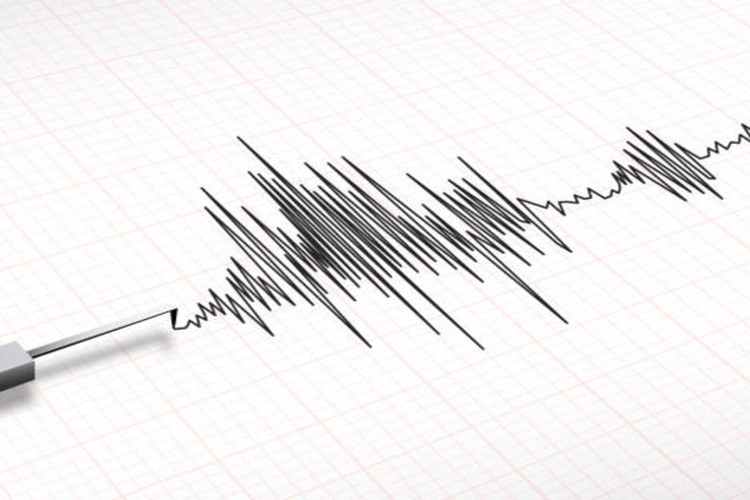 UPDATE Gempa Magnitudo 4.1 Guncang Sulawesi Utara Hari Ini