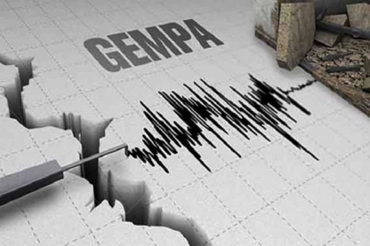 Gempa Magnitudo 4.1 Guncang Maluku Tenggara Barat Hari Ini, Minggu 5 Februari 2023