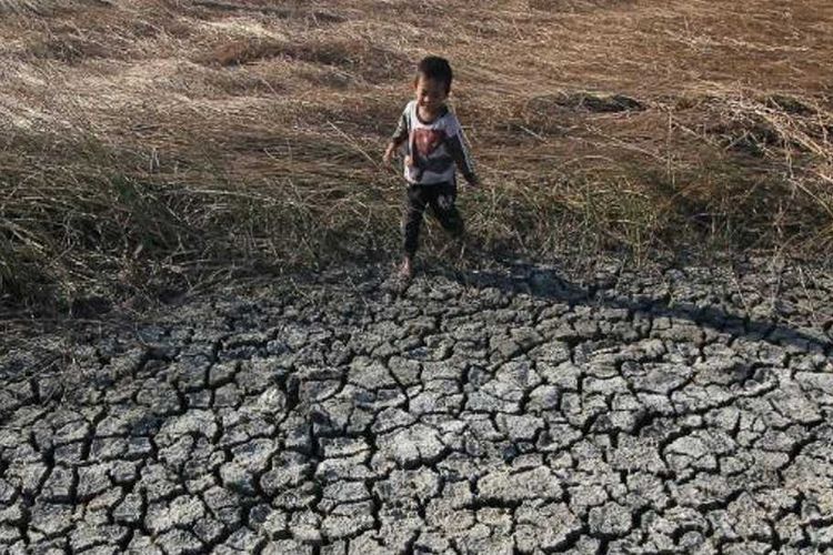 Bencana El Nino Tahun 2023 Diperkirakan Bakal Seperti Tahun 2019