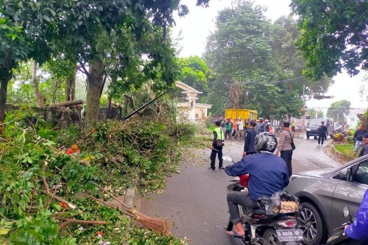 Angin Kencang Akibatkan Pohon Tumbang dan Rusak Pemukiman di Bogor