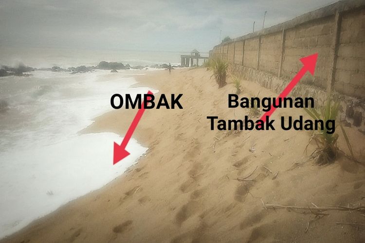 Waduh! DKP Banten Nyatakan Tidak Ada Tambak Udang di Baksel yang Menyalahi Aturan, Ini Fakta-fakta di Lapangan