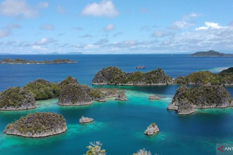 Kekayaan Tersembunyi Pulau Batanta Raja Ampat Papua Dari Situs Bawah Laut dan 90 Spesies Anggrek Liar