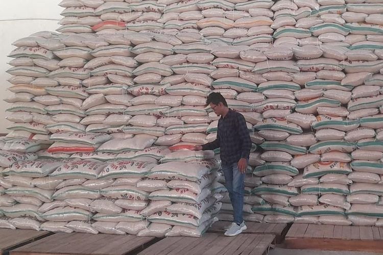   Cadangan Beras Pemerintah Aman, Bulog Kuasai Stok 1,6 Juta Ton