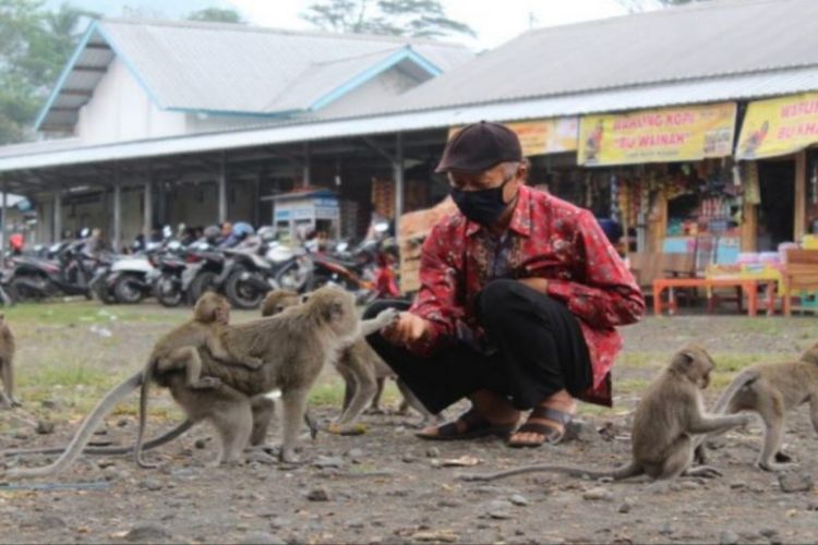 Mengenal Wisata Candi Batur, Mitos Pesugihan Dan Jabatan Di Balik Wisata Nanas Madu Kabupaten Pemalang