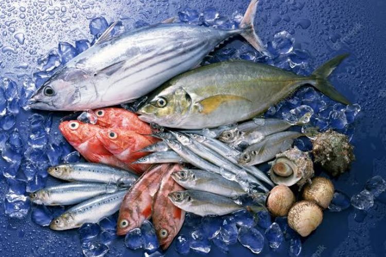 Tak Perlu Mahal-mahal Beli Ikan Salmon, 7 Jenis Ikan Lokal ini Ternyata Kaya Nutrisi dan Harganya Terjangkau
