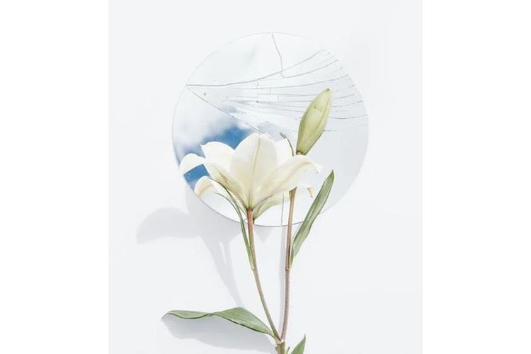 Puisi Bertemakan Cinta Karya Sutardji Calzoum Bachri Yang Berjudul 'Ana Bunga'