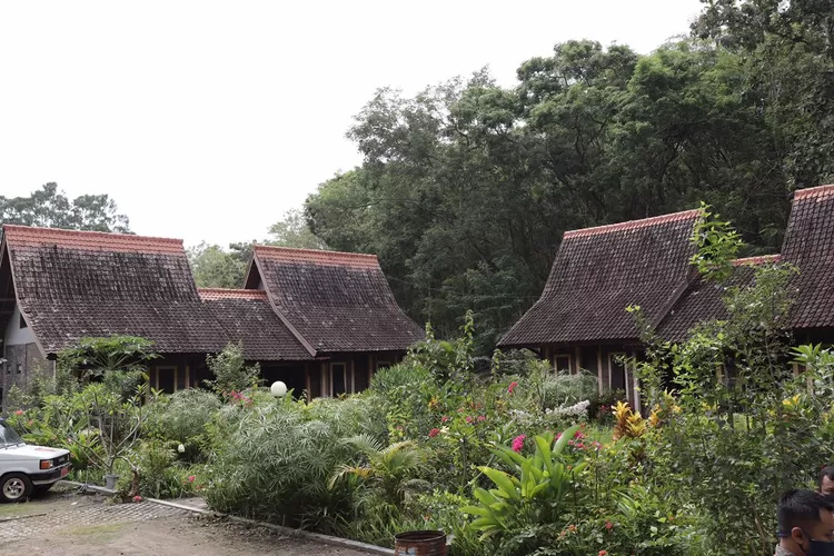 Rumah peneliti Wanagama UG dijadikan selter isolasi pasien Covid-19. Foto: Dokumen UGM (Rumah peneliti Wanagama UG dijadikan selter isolasi pasien Covid-19. Foto: Dokumen UGM)