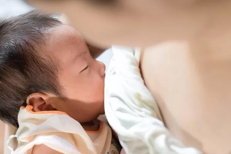 Seorang ibu menyusui anaknya.Tips ASI Lancar untuk New Mom, Lakukan 8 Cara Ini Agar Susu Melimpah dan Berkualitas
