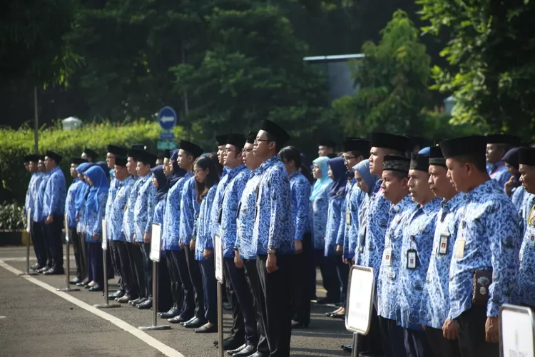 Ilustrasi Pegawai negeri Sipil./menpan.go.id/