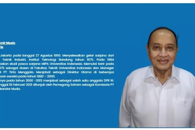 Emir Moeis, mantan napi korupsi suap proyek Pembangkit Listrik Tenaga Uap (PLTU) Tarahan, Lampung, kini menjabat komisaris PT Pupuk Iskandar Muda, anak usaha BUMN. /Foto: Tangkap layar website PT PIM