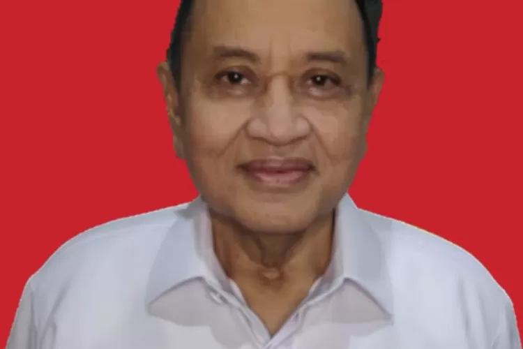 Mantan politisi PDIP Emir Moeis. (Dok. Pim.co.id)