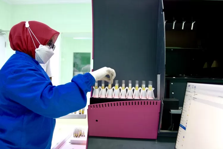 Petugas PMI Tangerang sedang melakukan pengecekan sample plasma konvalesen sebelum seorang pendonor dinyatakan lulus untuk siap diambil plasma konvalesennya - Foto: Henry Lukmanul Hakim/Edisi Foto
