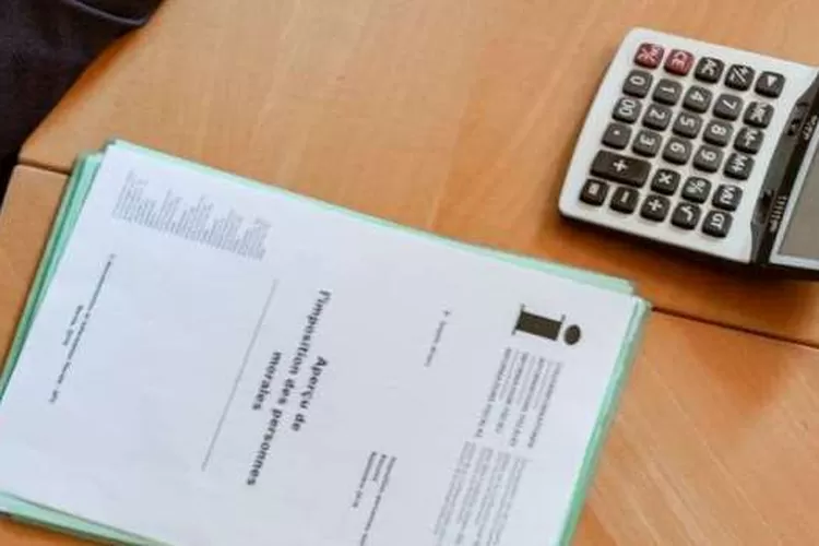 Piutang Perhutani Sebesar Rp 150 M Lebih Berpotensi Tidak Tertagih (Dok.pexels.com/OlegMagni)