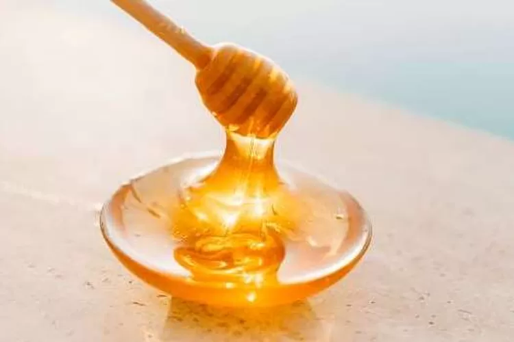 Mekanisme Penjualan Madu Perhutani pada KPH Bogor (Dok.pexels.com/RomanOdintsov)