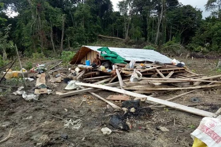 Rumah warga roboh diamuk gajah di Desa Bunin Serbajadi, Aceh Timur.  (ANTARA/HO)