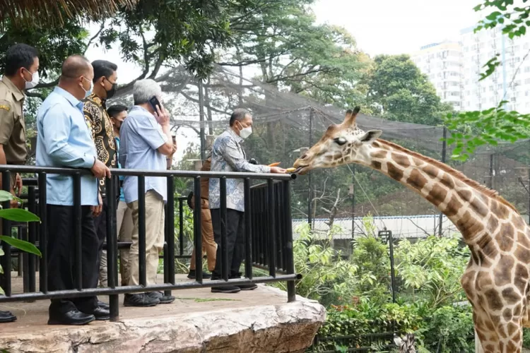 Komisi Pemberantasan Korupsi (KPK) mengunjungi tiga aset Pemkot Bandung yang bermasalah pada Selasa (7/9/2021), salah satunya Kebun Binatang Bandung di Kota Bandung, Jawa Barat ((Antara/HO-Humas KPK))