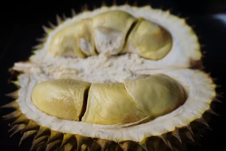 Buah durian miliki manfaat atasi insomnia atau susah tidur (pixabay/najibzamri)