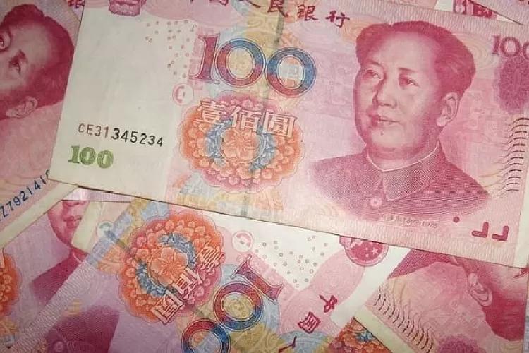 Yuan (Pixabay)