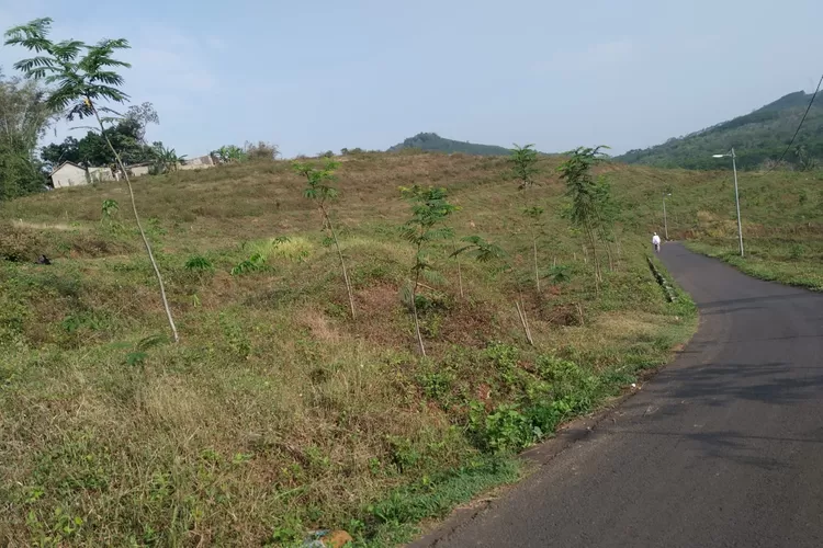 Jalur indah di Bukit Bugel-Nogosaren, Kota Salatiga wilayah utara.  (Edy Susanto)