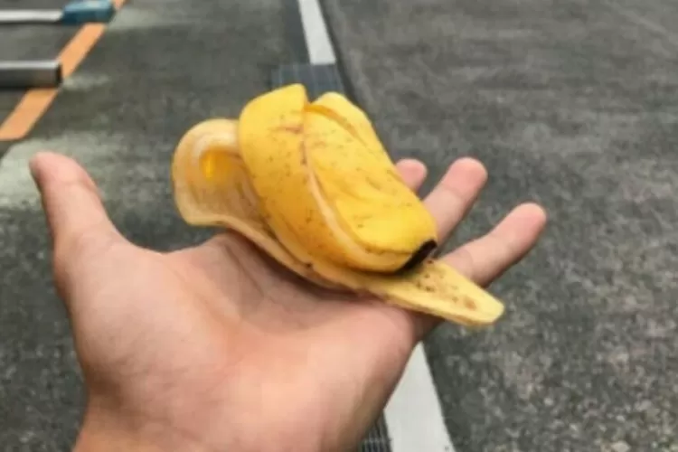 Kulit pisang. (Foto: dok. suaramerdeka.com)
