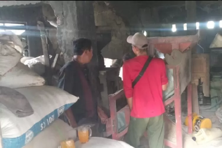 Buruh tani dan buruh giling beras garda terdepan pangan di Indonesia. (Rosyka/Bogor Times)